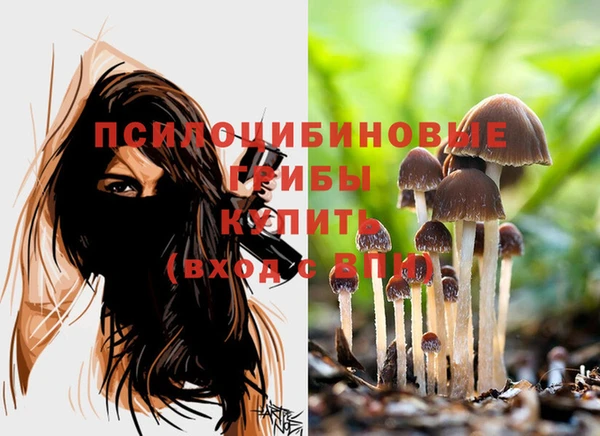 дурь Баксан