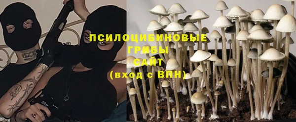прущий лед Пересвет