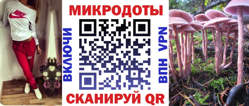 Галлюциногенные грибы ЛСД Северо-Курильск